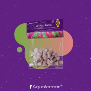 AF Mini Rocks Purple x unidad