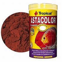 ASTACOLOR
