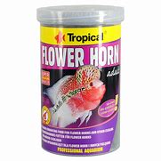 FLOWER HORN ADULT PELLET