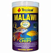 MALAWI CHIPS
