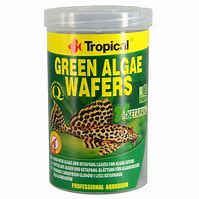 GREEN ALGAE WAFERS