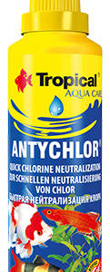 ANTYCHLOR
