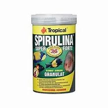 SPIRULINA SUPER FORTE GRANULAT.