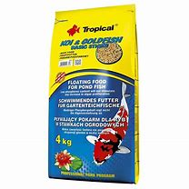 KOI & GOLDFISH BASIC STICKS