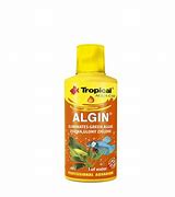 Algin